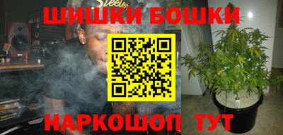 соль ск Можга