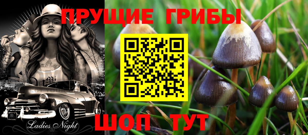 Псилоцибиновые грибы Cubensis Углич